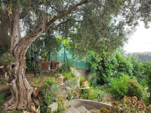Villa with gorgeous view