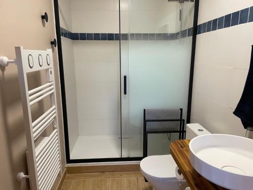 a bathroom with a shower and a toilet and a sink at La maison de Laujol in Moissac