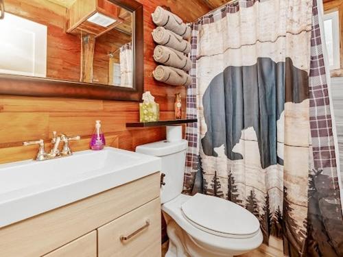 a bathroom with a toilet and a sink and a shower curtain at Cozy Pet Friendly Big Bear Cabin in Big Bear City