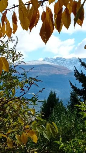 a view of a mountain range from a tree at El Cielo in El Bolsón
