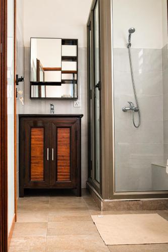 a bathroom with a shower and a vanity and a mirror at Zenith Apartment in Baie du Tombeau