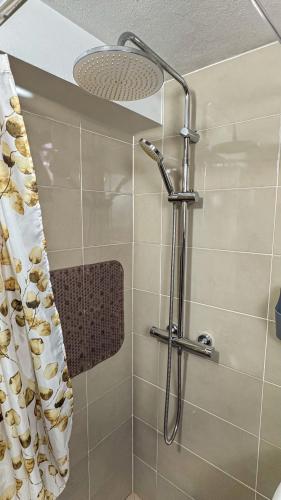 a shower with a shower head in a bathroom at Cantinho da Susana in Coimbra