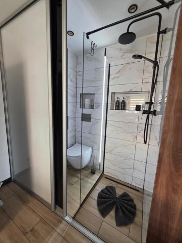 a bathroom with a glass shower with a toilet at Rose in Bielawa