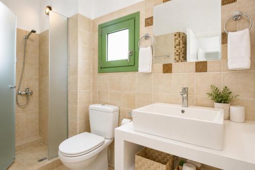 a bathroom with a toilet and a sink and a mirror at Villa Mytikas in Gennadi
