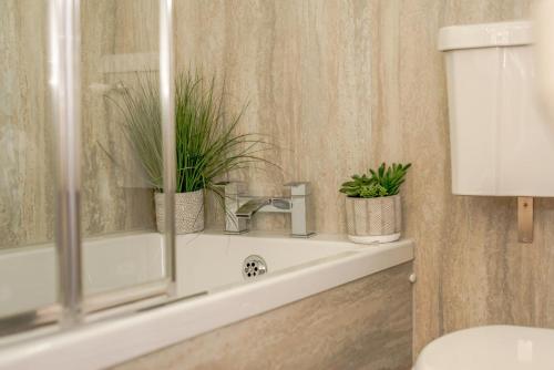 a bathroom with a sink with two potted plants on it at 2 Bed in St. Merryn oc-p00883 in Saint Merryn