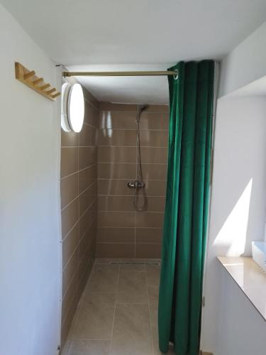 a shower with a green shower curtain in a bathroom at Casa Maria in Ciocaşu