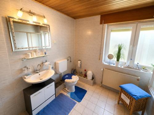 a bathroom with a sink and a toilet and a mirror at Käthe's Gästezimmer in Reimerath