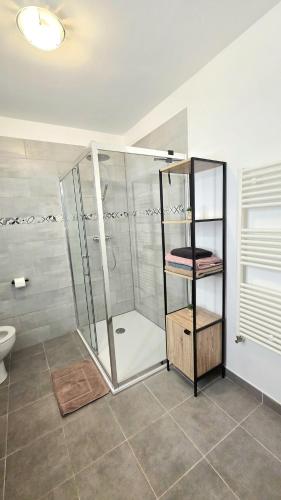 a bathroom with a shower with a toilet and a sink at L'appartement de Maya in Saint-Priest