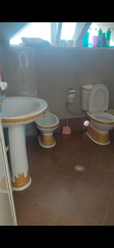 a bathroom with a sink and a toilet at Konaku Zenelaj Selcke e Madhe Memaliaj in Polisi i Vogël