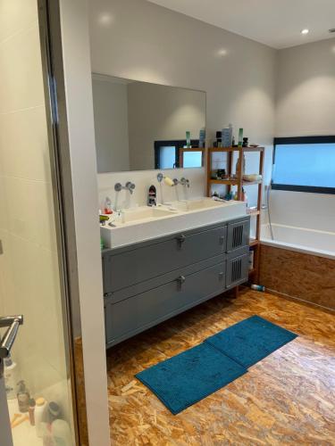 a bathroom with a sink and a mirror at Villa Millau-gorges du Tarn in Aguessac