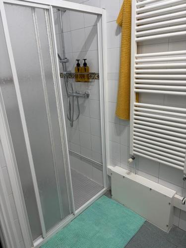 a shower with a glass door in a bathroom at Apartamento Nordés in A Guarda