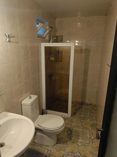 a bathroom with a toilet and a shower and a sink at Happy house in Kobuleti