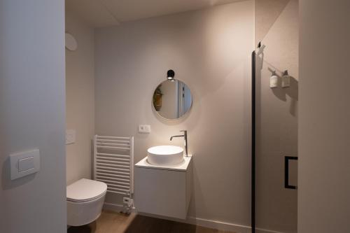 a bathroom with a sink and a toilet and a mirror at Maison Dieu in Hasselt