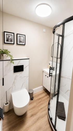 a bathroom with a toilet and a glass shower stall at Central Apartments Cannock in Cannock