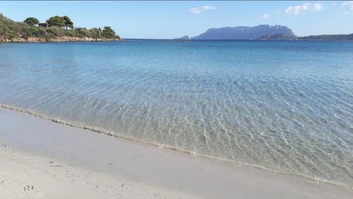 a body of water with a beach and mountains in the background at Bellavista Vacation stunning Tavolara sea view terrace in Olbia