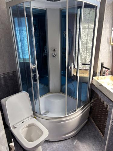 a bathroom with a toilet and a shower and a sink at Almaty Backpackers in Almaty