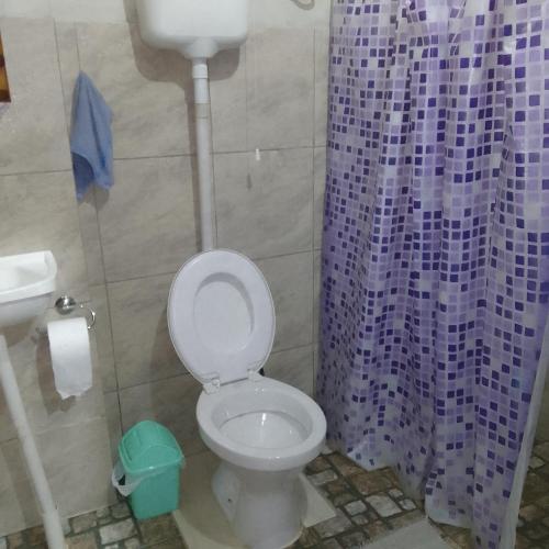a bathroom with a toilet with a purple shower curtain at Hospedaje jabuticaba in El Soberbio