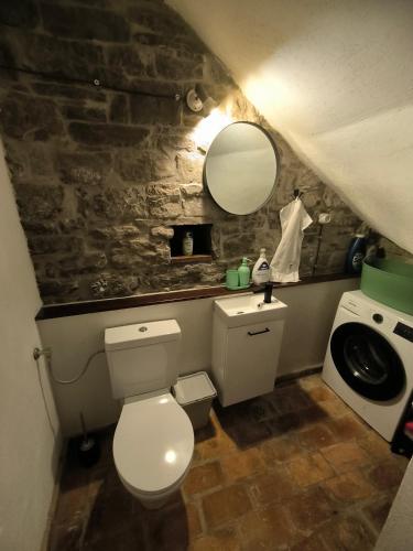 a bathroom with a toilet and a sink and a mirror at Vila EVANA in Sečovlje