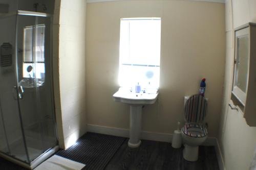 a bathroom with a sink and a shower and a toilet at Grove Stables in Kirk Leavington