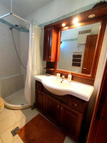 a bathroom with a sink and a shower and a mirror at Psalidi beach house in Psalidi
