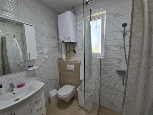 a bathroom with a shower and a toilet and a sink at Stan na dan Banovci in Stari Banovci