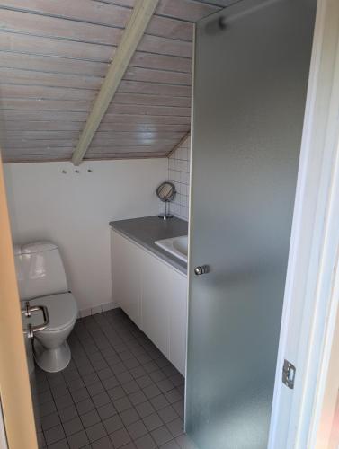 a bathroom with a toilet and a sink at Marielyst Summer House in Bøtø By