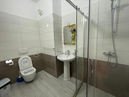 a bathroom with a toilet and a sink and a shower at Golem Apartments in Golem