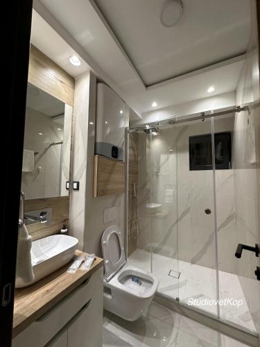 a bathroom with a shower and a toilet and a sink at Vila Golija StudiovetKop in Kopaonik