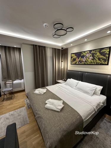 a bedroom with a large bed with two towels on it at Vila Golija StudiovetKop in Kopaonik