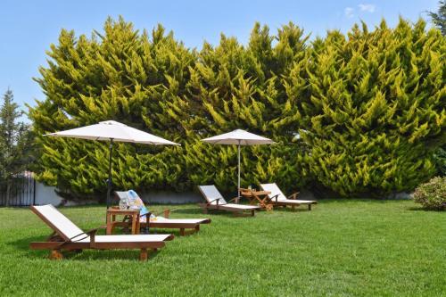 a group of lounge chairs and umbrellas on a lawn at Villa John Dimeon Kato Achaia With Pool - Happy Rentals in Patra