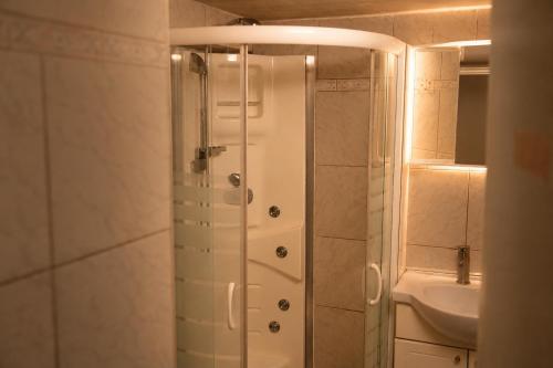 a bathroom with a shower and a sink at Appartement voor Gezin Ardennen The Moon Valley in Amblève