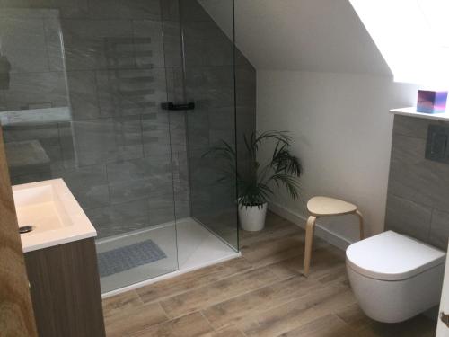 a bathroom with a shower with a toilet and a sink at Skyelyne in Ardvasar