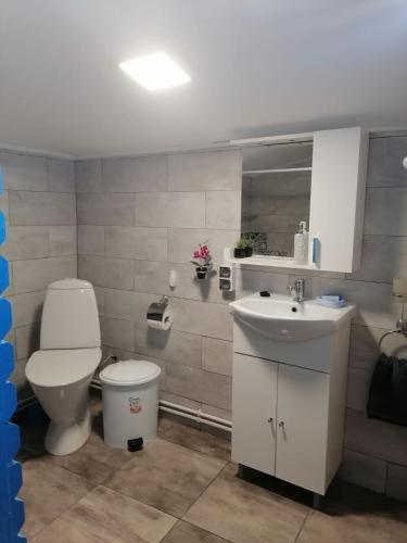 a bathroom with a toilet and a sink at Casa de vacanta Amira in Sfântu Gheorghe