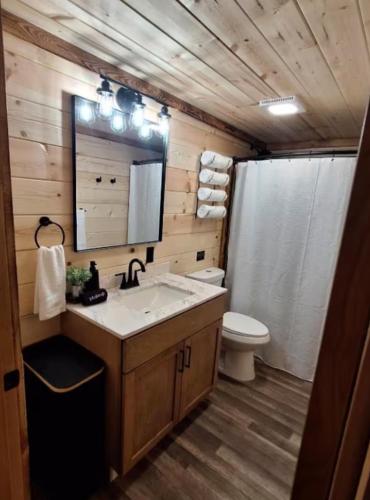 a bathroom with a sink and a toilet and a mirror at Micham's Clark Fork River Retreat - River Front, Mountain View, Fire Pit - Cabin 1 in Superior