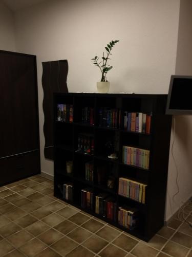 a black book shelf filled with books with a potted plant at Zimmer in Lautrach in Lautrach