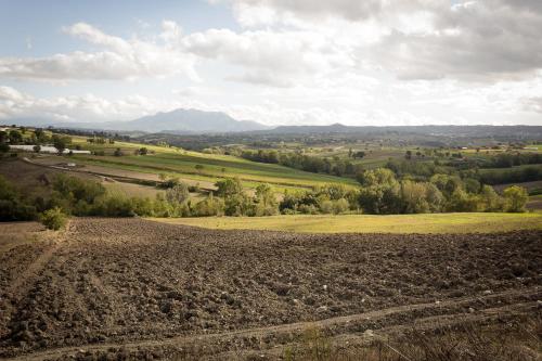 an open field with trees and mountains in the distance at Agriturismo Villa Luisa in Apice