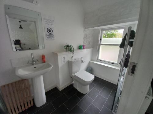 a bathroom with a sink and a toilet and a window at Hartfield House Hostel in Applecross
