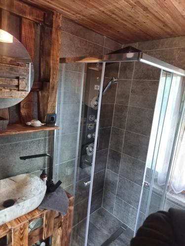 a shower with a glass door in a bathroom at Idylissches Ferienhäusle im Thüringer Wald in Suhl