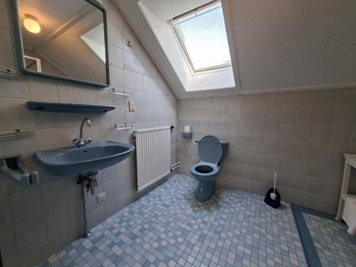 a bathroom with a toilet and a sink and a window at Genderens Buiten in Genderen