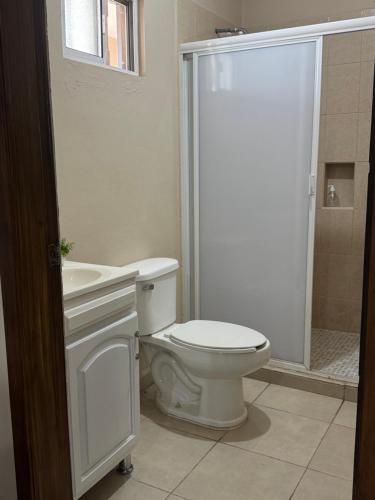 a white bathroom with a toilet and a shower at Departamento #10 in San Carlos