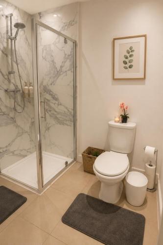 a bathroom with a toilet and a shower at Catherines House Kings Cross Area in London