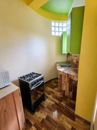 a kitchen with a stove and a counter top at Barefoot Apartments in Roseau