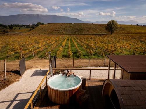 a hot tub with two people in it next to a vineyard at Ámpelos Wine Room in Gallo