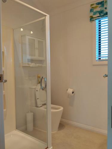 a bathroom with a toilet and a glass shower stall at Tree of Love in Cambridge
