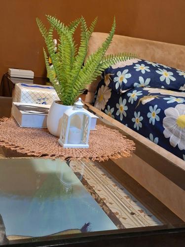 a table with a potted plant on top of a bed at Casabella in Dakar