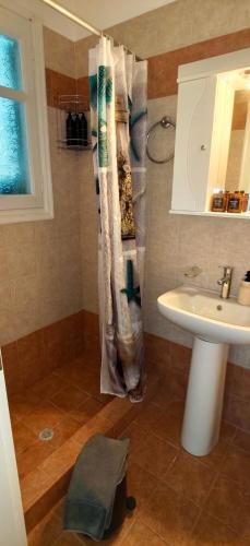 ein Badezimmer mit Dusche und Waschbecken in der Unterkunft Marvia Studios in Vourkari
