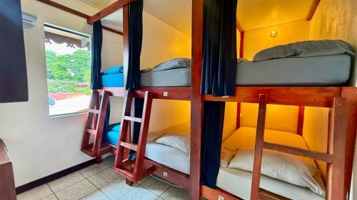 a group of bunk beds in a room at Casa Wolaba in Puerto Viejo