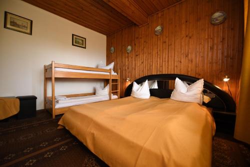 a bedroom with a large bed with white pillows at Vila Belvedere in Haţeg