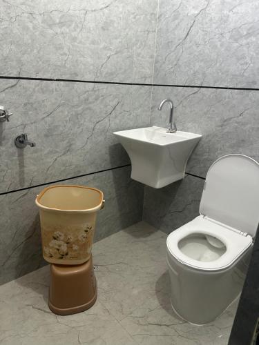 a bathroom with a toilet and a sink at Hotel park view in Bathinda