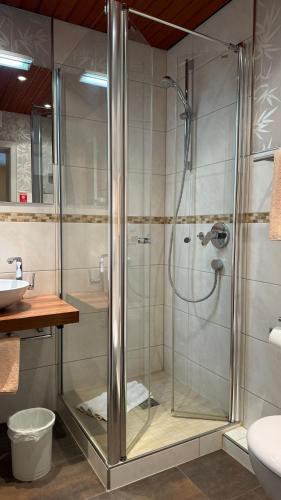 eine Dusche mit Glastür im Badezimmer in der Unterkunft Hotel Altenberg in Baden-Baden